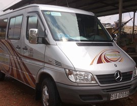 Mercedes 313